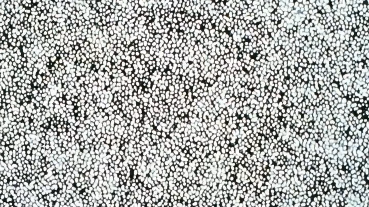 Shinseiki Evangelion preview