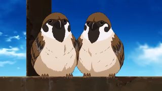 Enen no Shouboutai preview